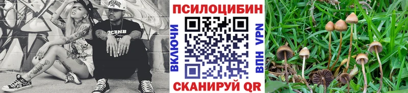 закладки  Арзамас  OMG как войти  Псилоцибиновые грибы ЛСД 